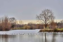 lac de saint fliu.jpg
